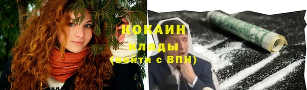 гидра Туринск