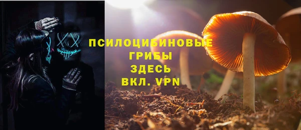 спайс Каменка
