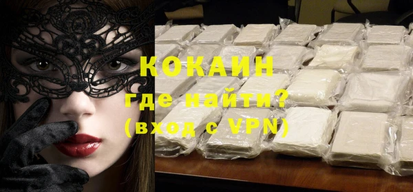 спайс Каменка