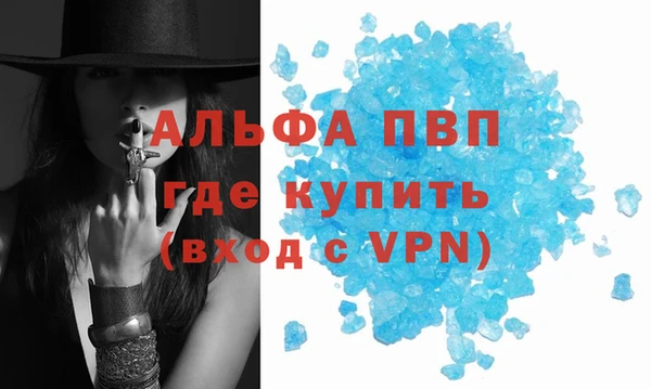 спайс Каменка