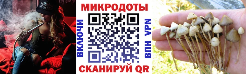 Галлюциногенные грибы мухоморы Оренбург