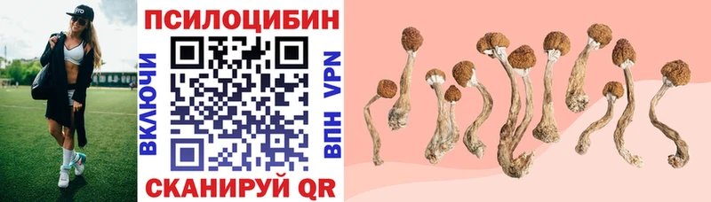 KRAKEN ONION закладка Оренбург Галлюциногенные грибы Psilocybe