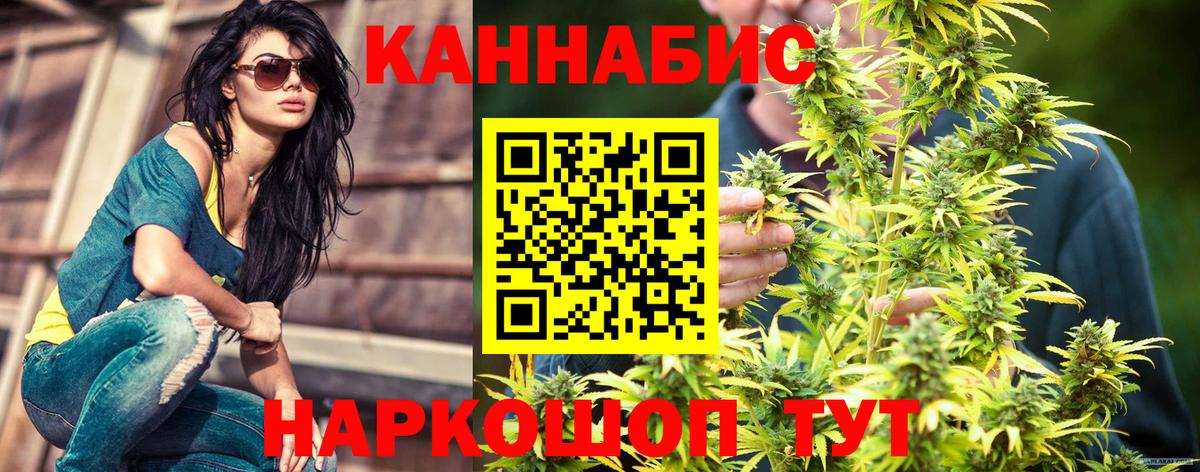 Канабис White Widow  Конопля гибрид  Оренбург  Бошки марихуана план  Вход с VPN  МАРИХУАНА Ganja 